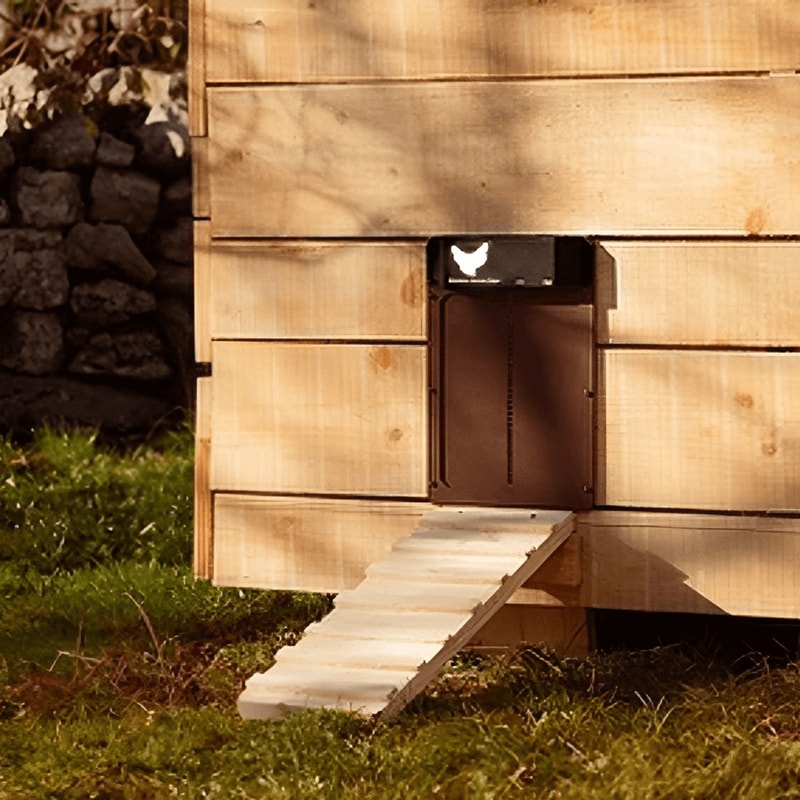 Automatic Chicken Coop Door with Timer – Electric Chicken Run Door