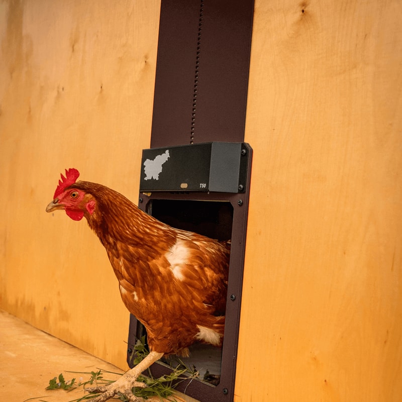 Automatic Chicken Coop Door with Timer – Electric Chicken Run Door