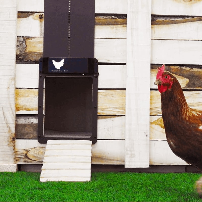 Automatic Chicken Coop Door with Timer – Electric Chicken Run Door