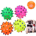 Round Dog Ball Toy: Durable Puppy Training & Decompression Display Mold